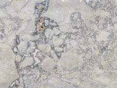 Arabescato Venatino Marble